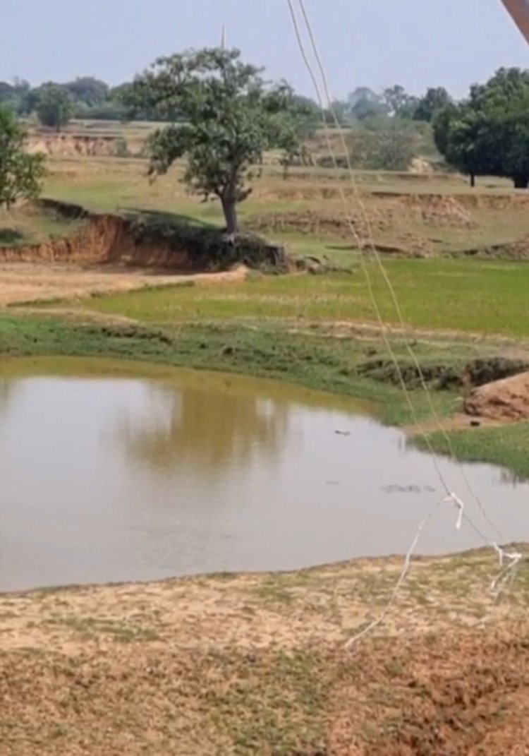 वर्षा जल की हर बूंद सहेज रहा नीमगांव, जल संरक्षण में रच रहा नया इतिहास