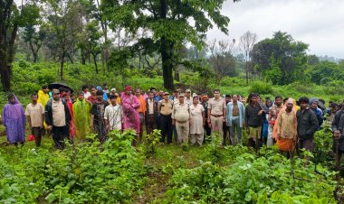 अतिक्रमणकारियों पर वन विभाग का बड़ा प्रहार, 3 हेक्टेयर वनभूमि मुक्त कर 5,000 पौधों से किया हराभरा