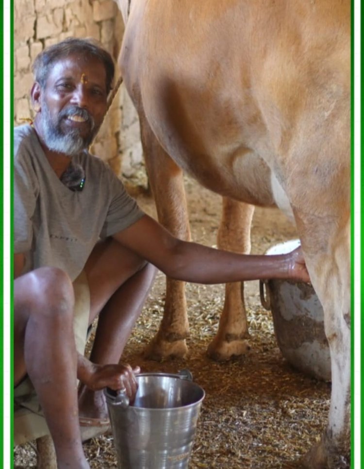 27 गायें, रोज 60 लीटर दूध और मेहनत का जुनून… मधुसुदन भगत ने गौपालन को बनाया मजबूत आय का मॉडल”